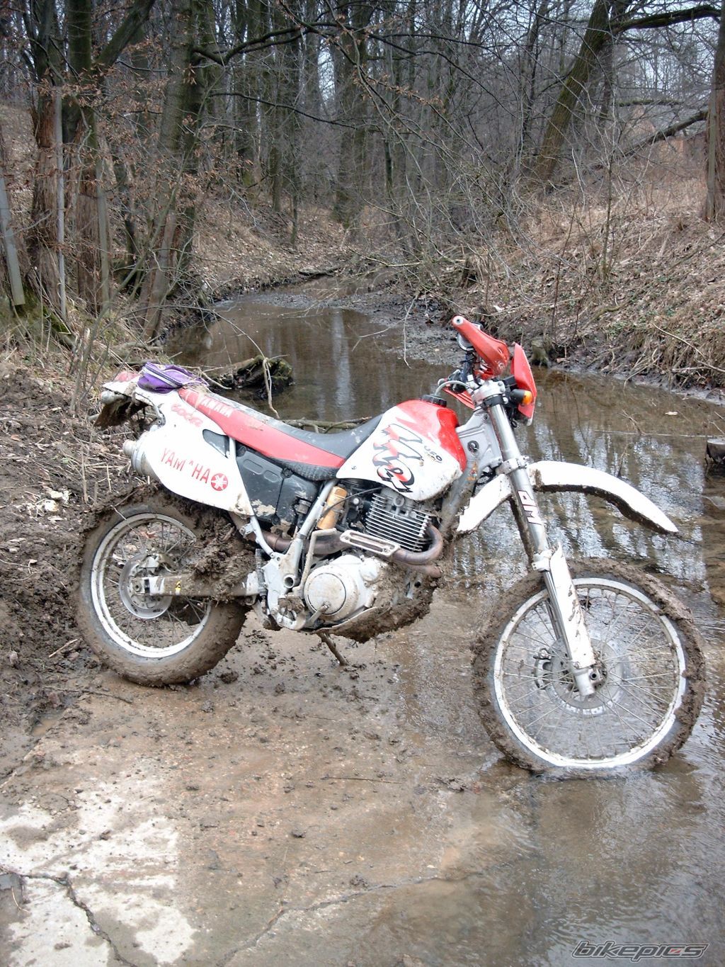 Bike Photo 1160902