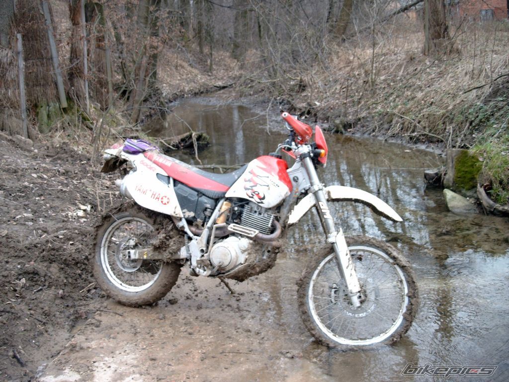 Bike Photo 1160904