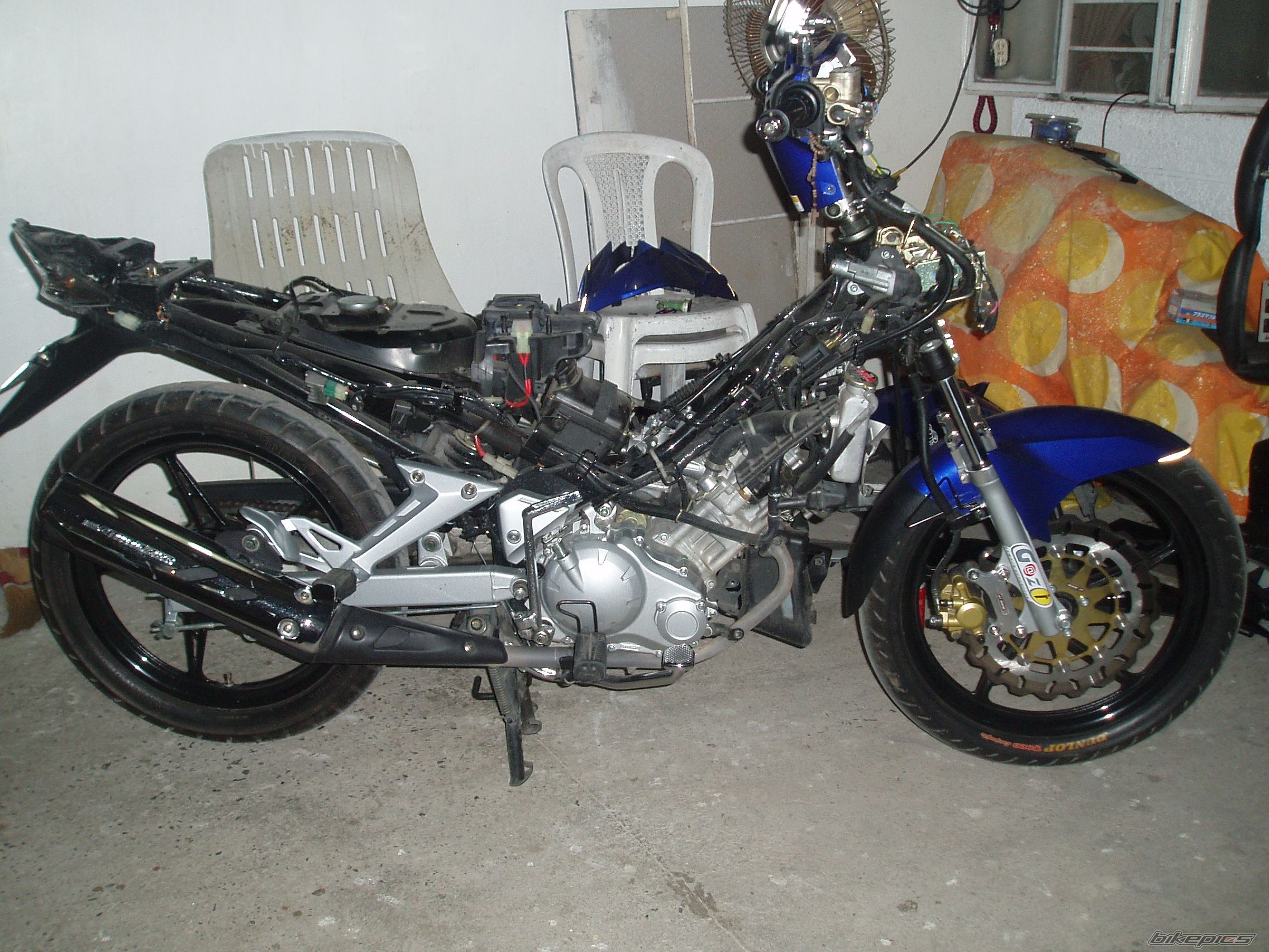 Photo 1161051