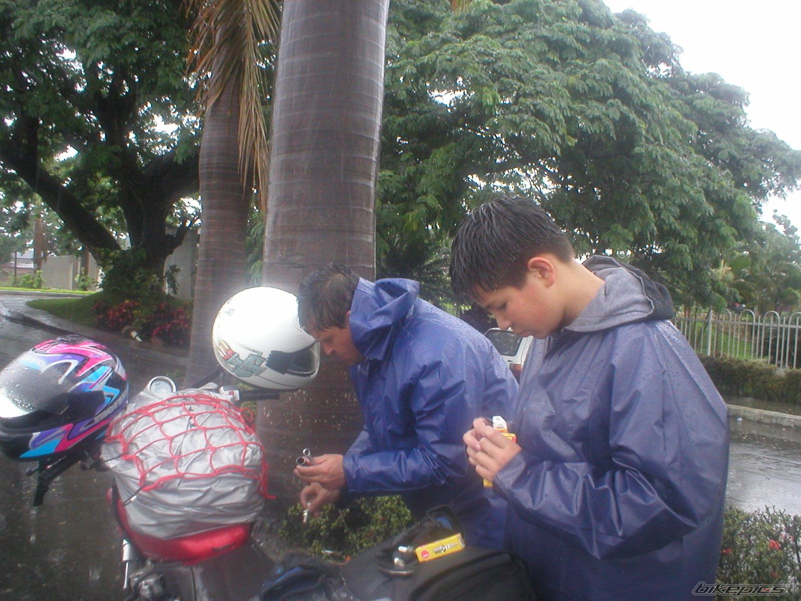 Photo 1161110