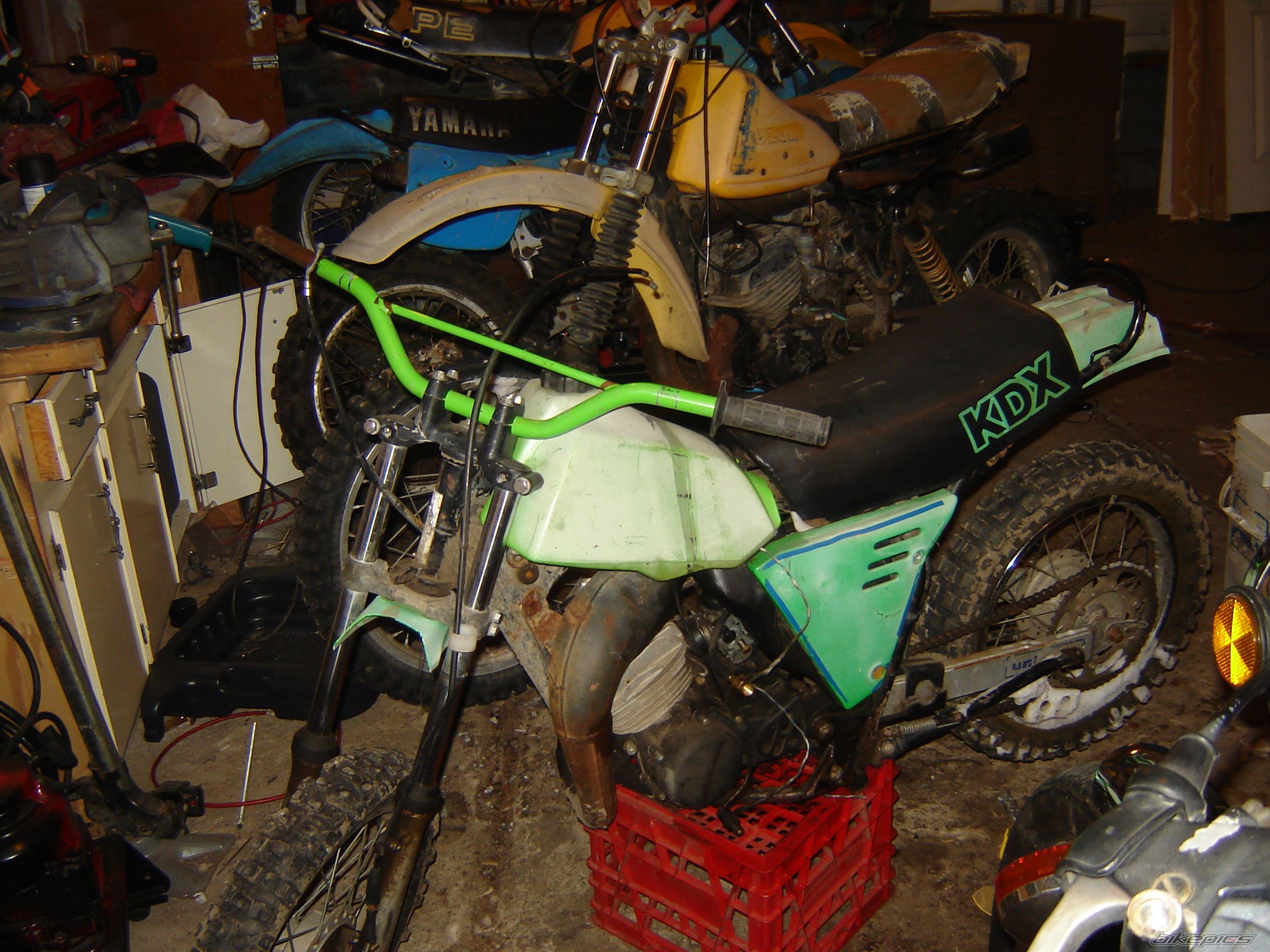 Photo 1161382