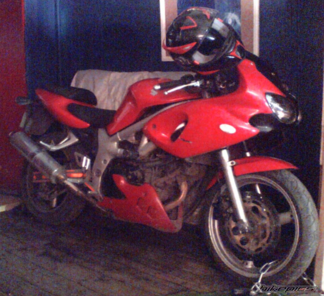 Photo 1161393