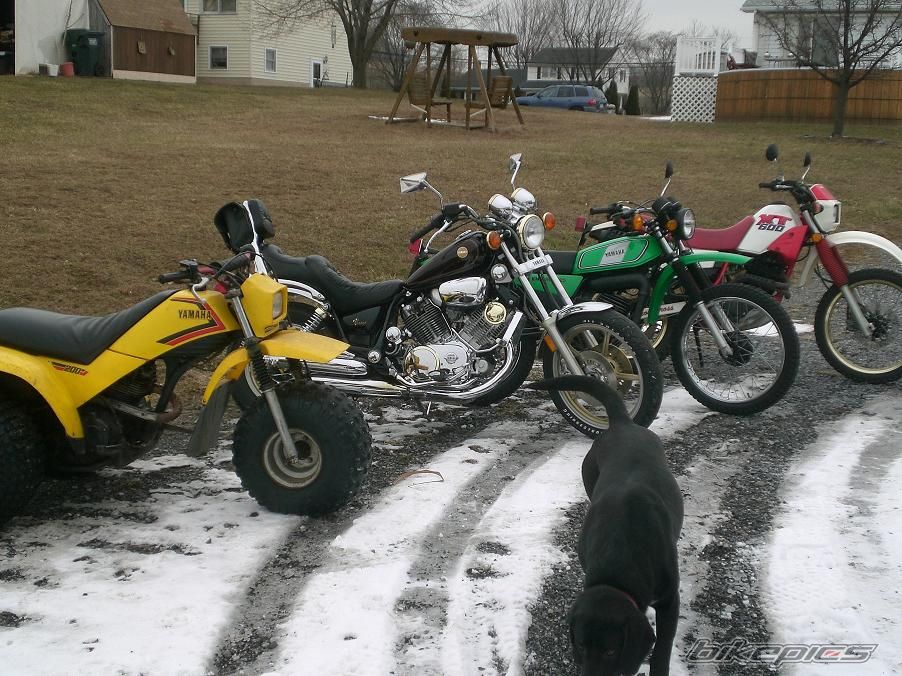 Bike Photo 1161547