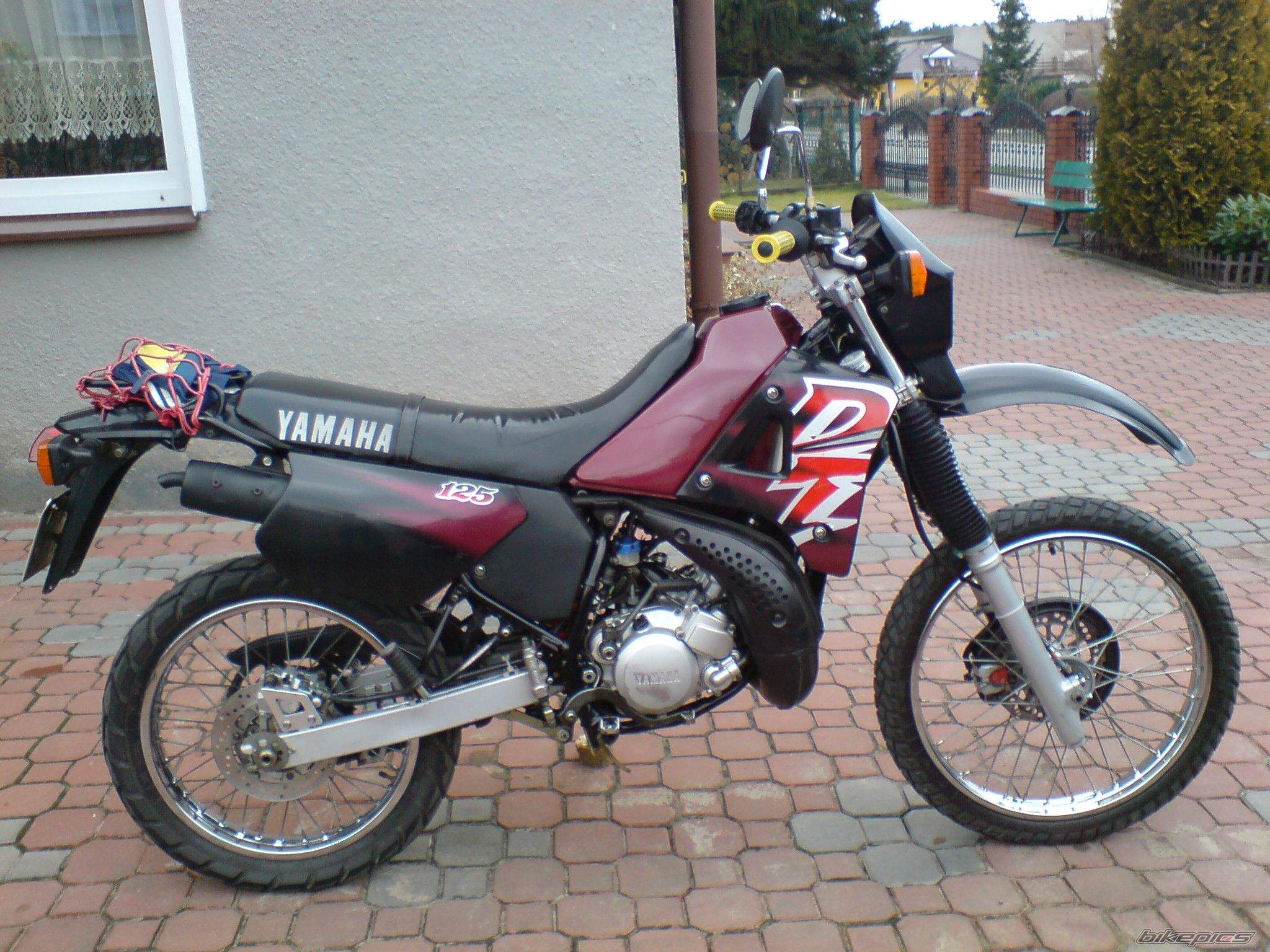 Photo 1161874
