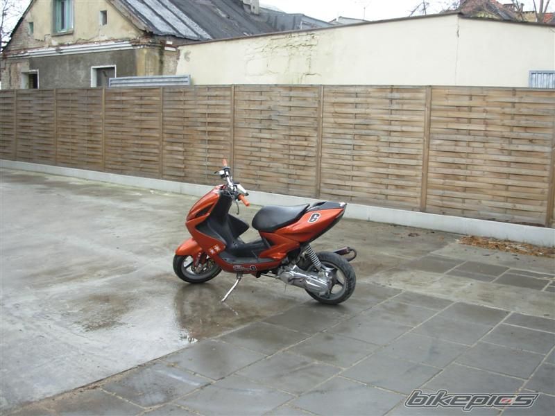 Photo 1161948