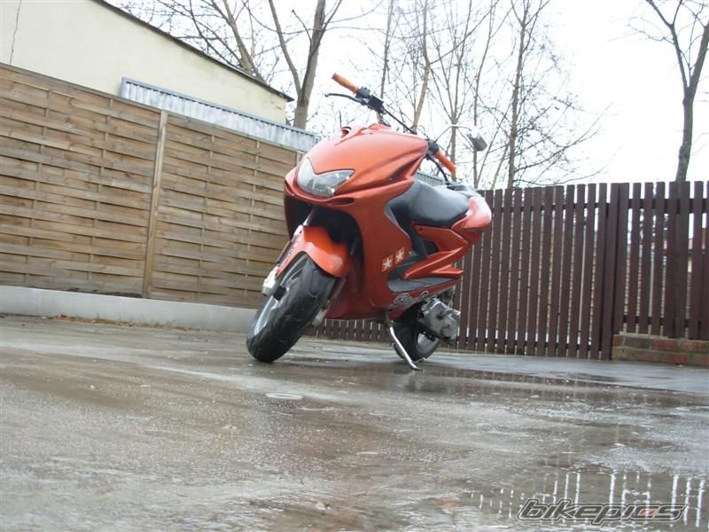 Photo 1161949