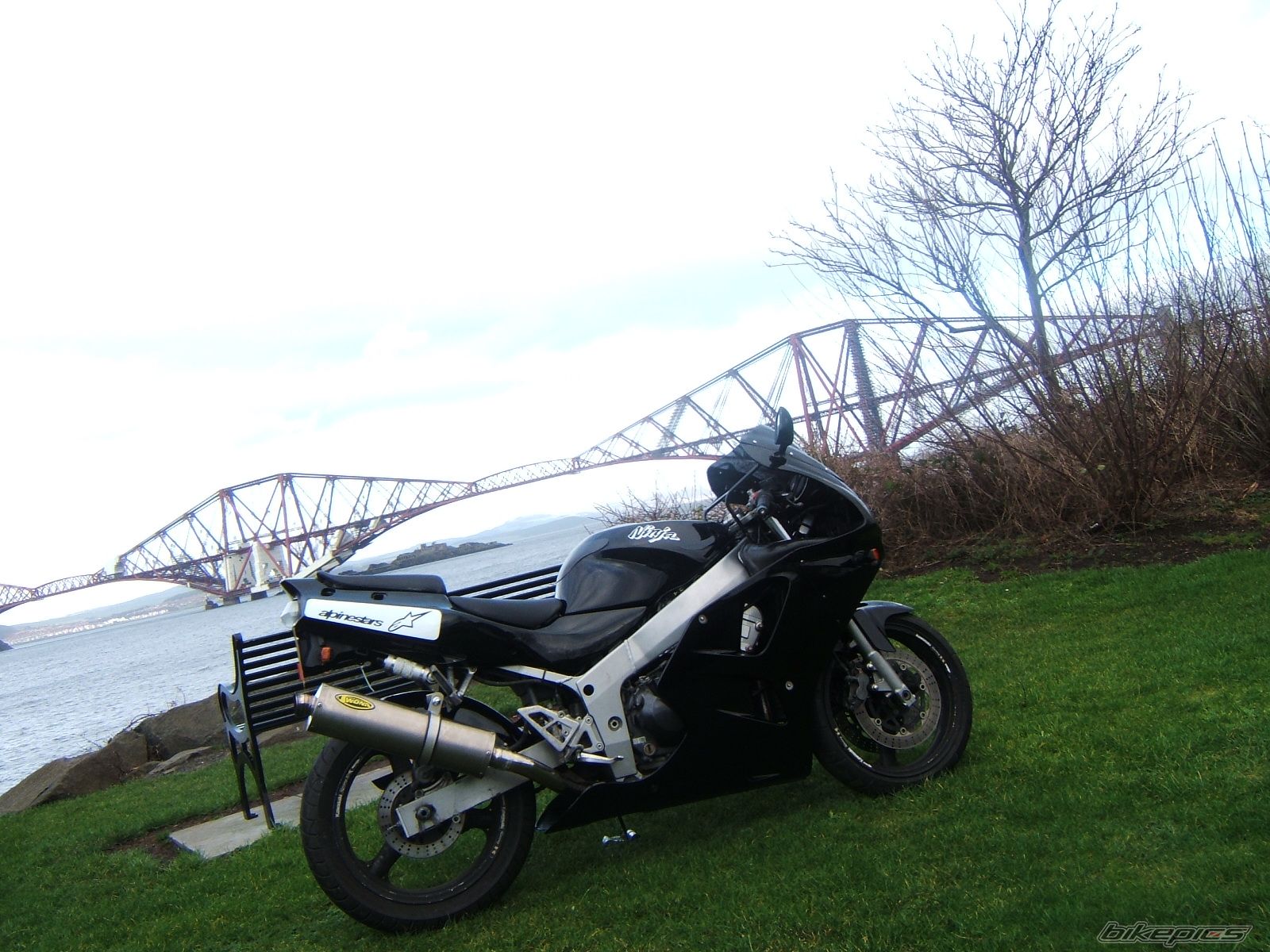 Photo 1162417