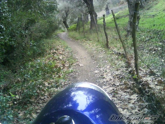 Photo 1162483
