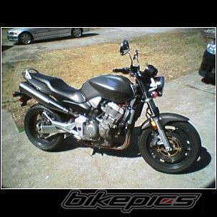 Photo 1162489