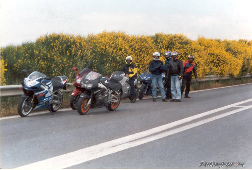Photo 11625