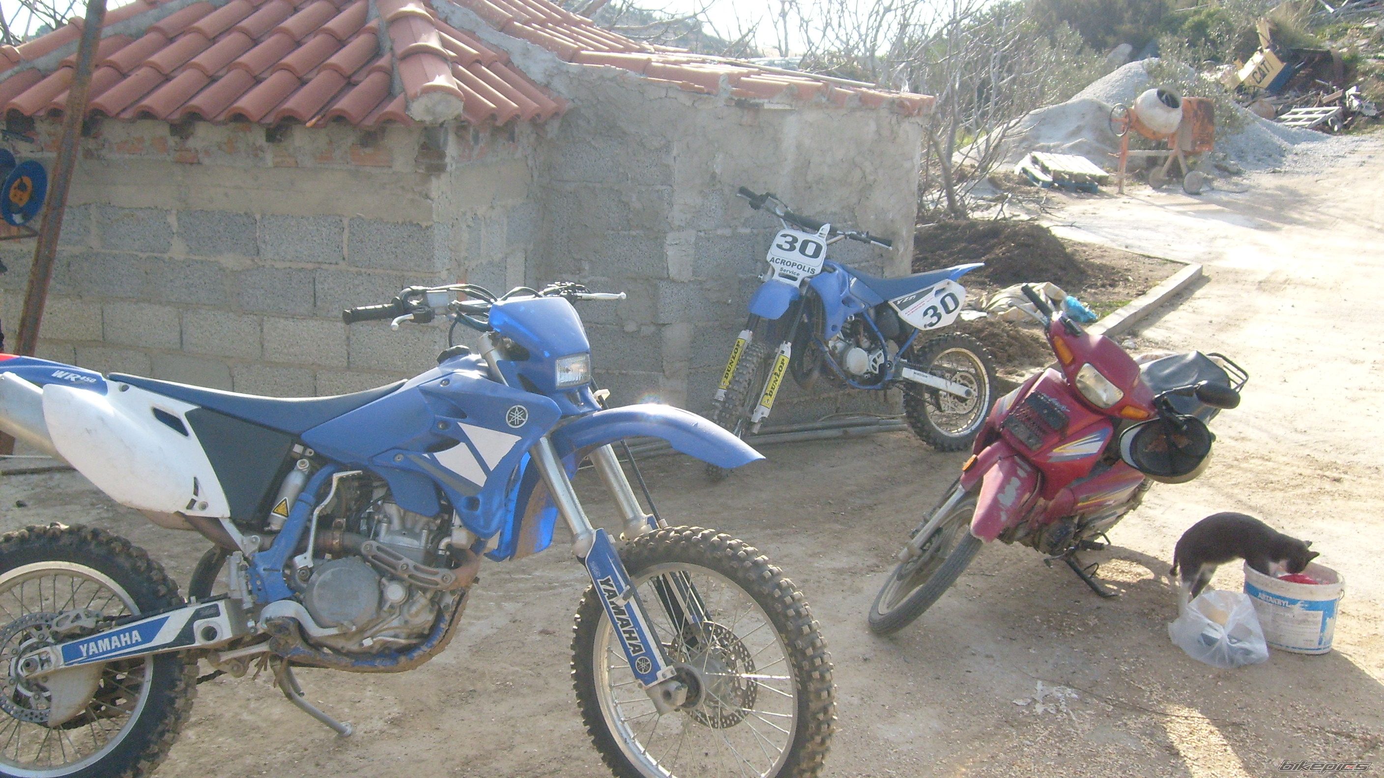 Photo 1162616