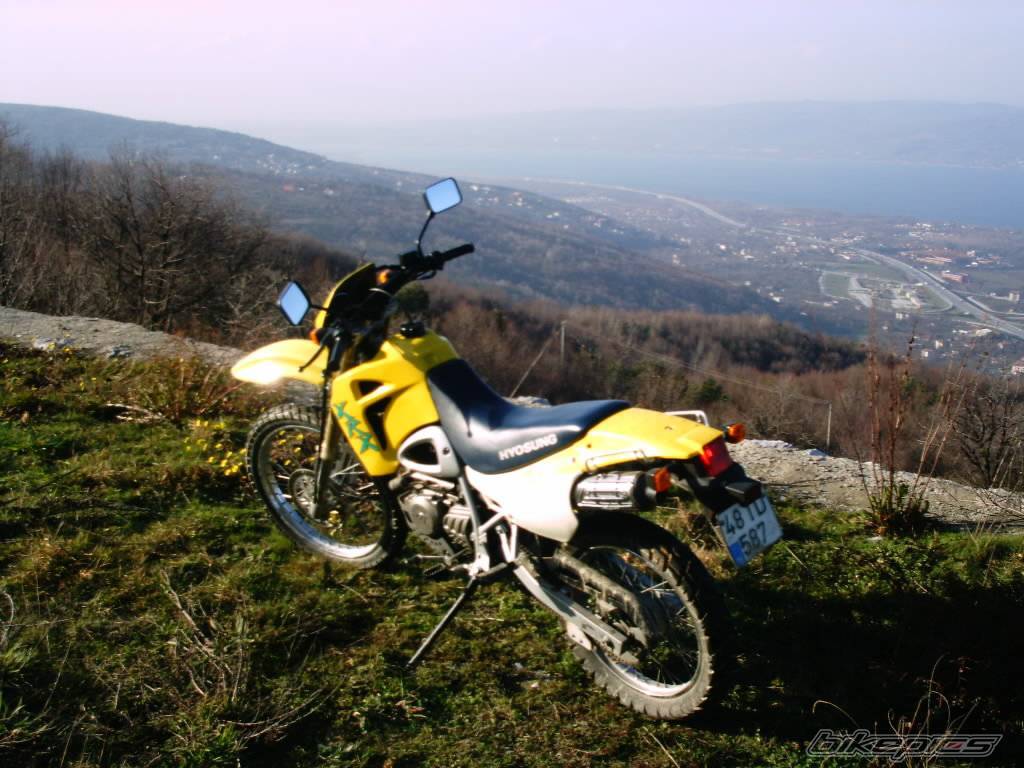 Photo 116263