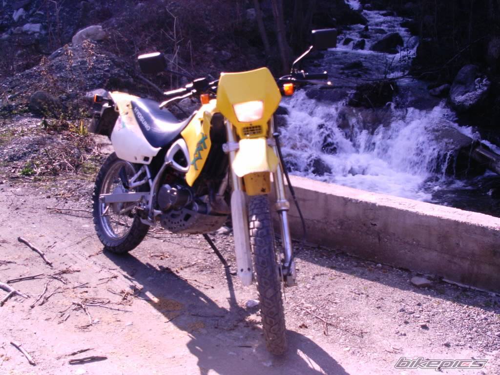 Photo 116273