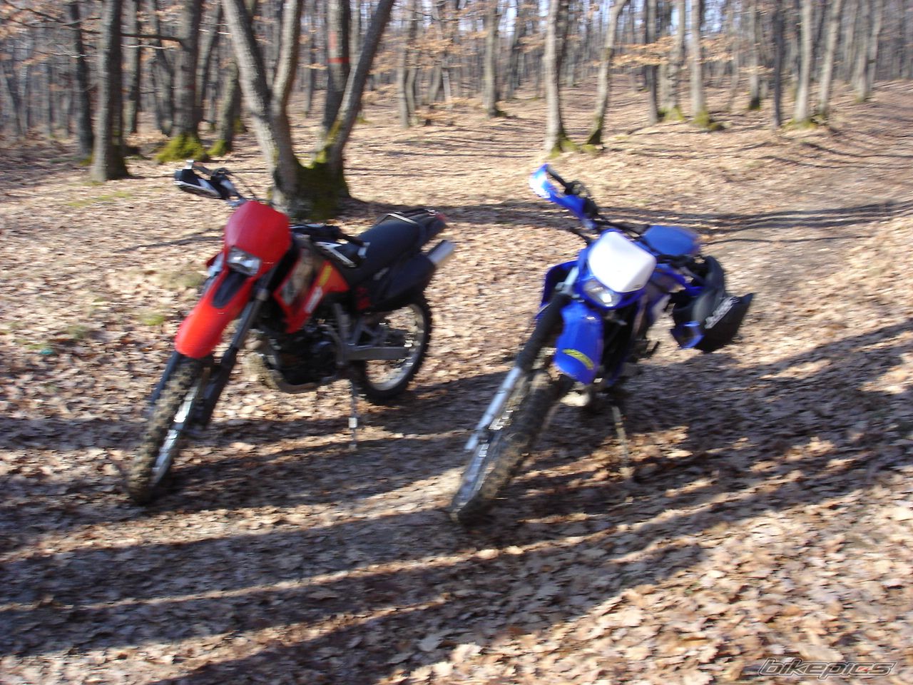 Bike Photo 1162756