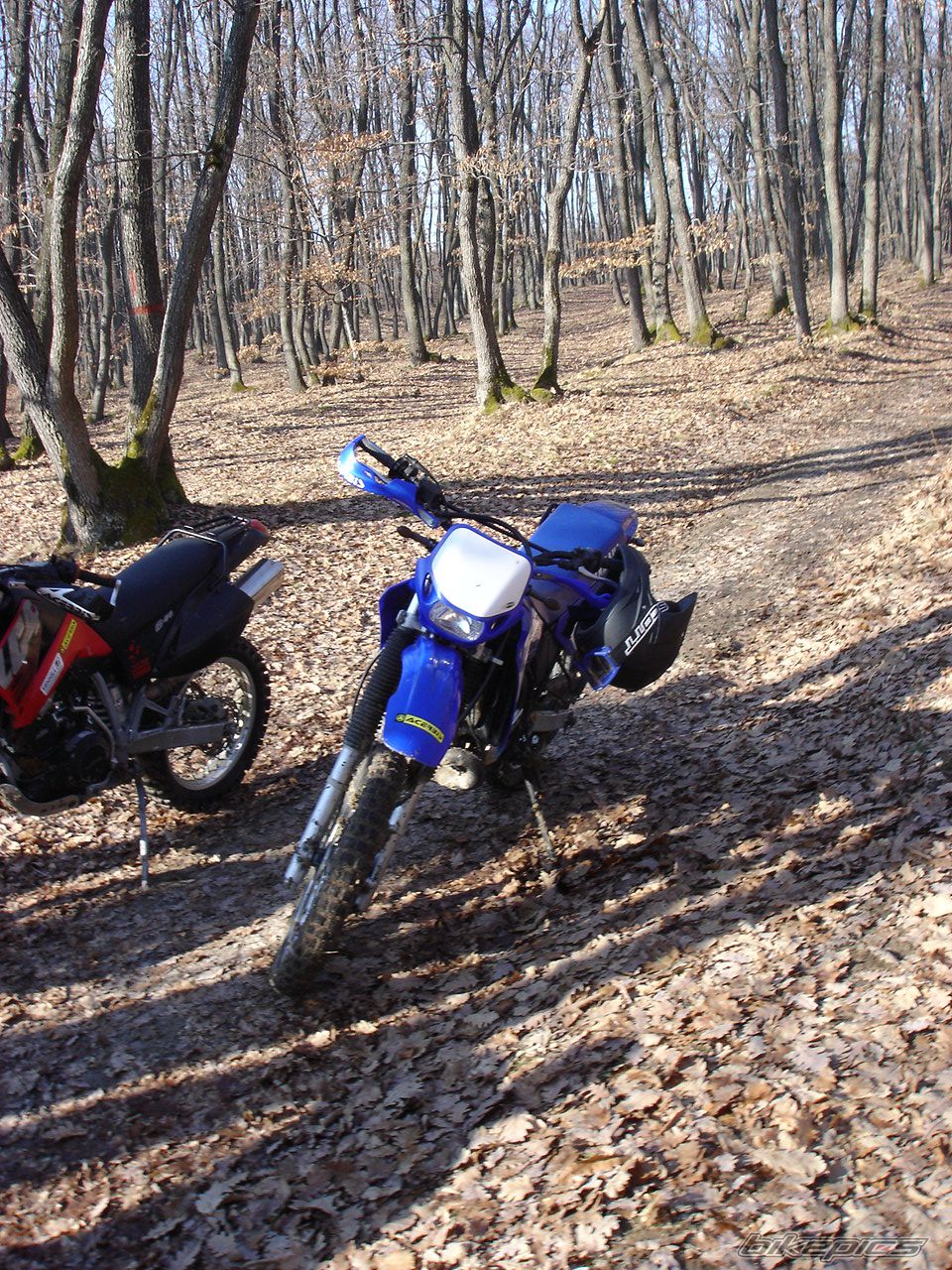Bike Photo 1162761