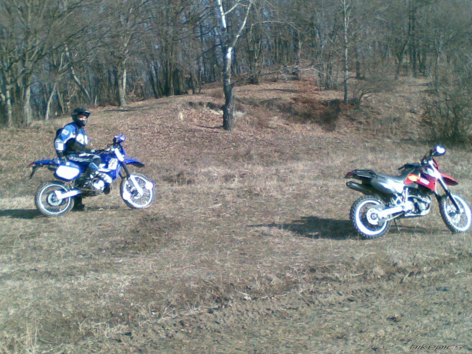 Bike Photo 1162768