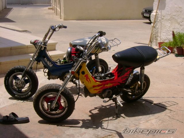 Photo 1162784