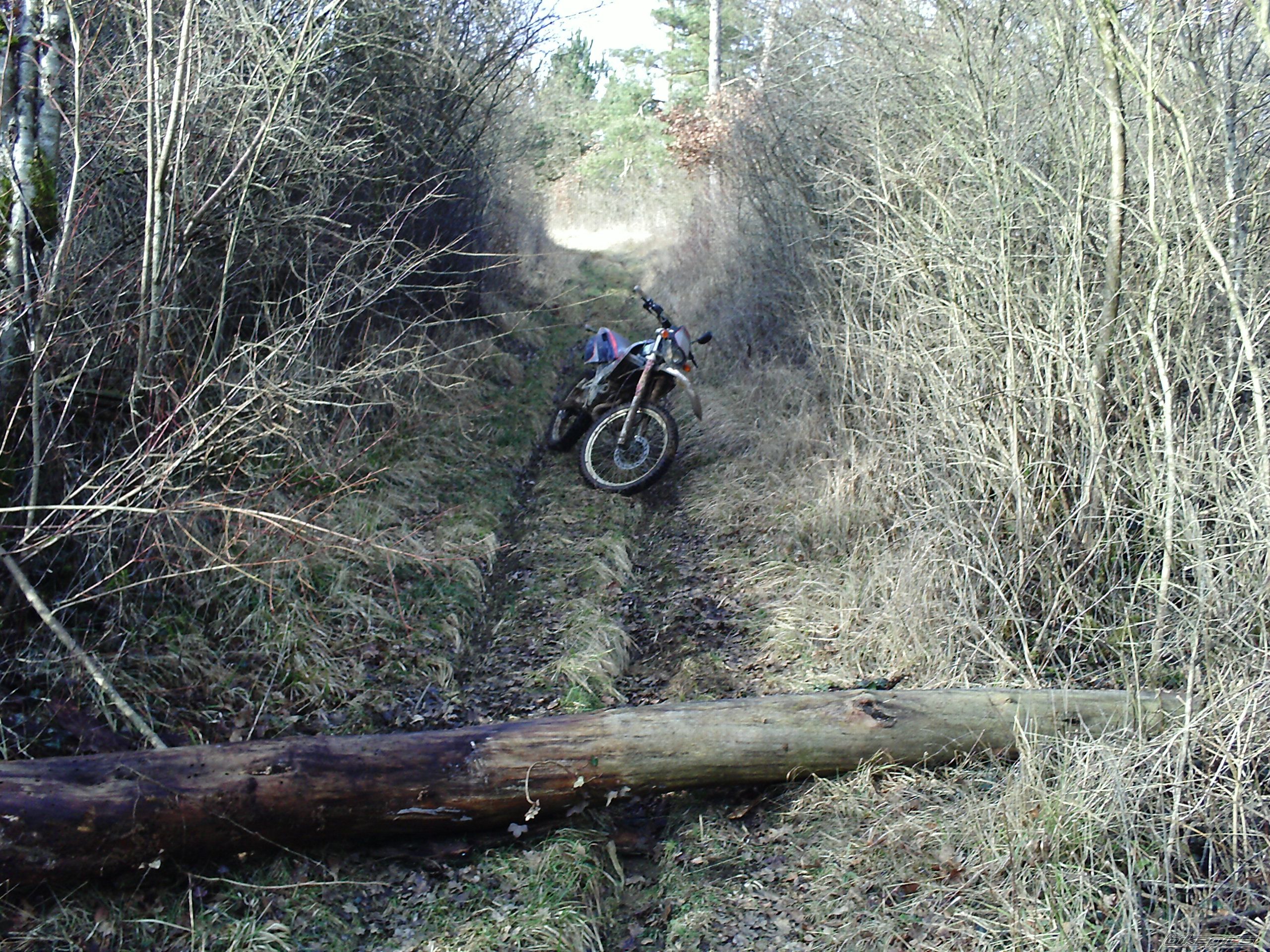 Photo 1162797