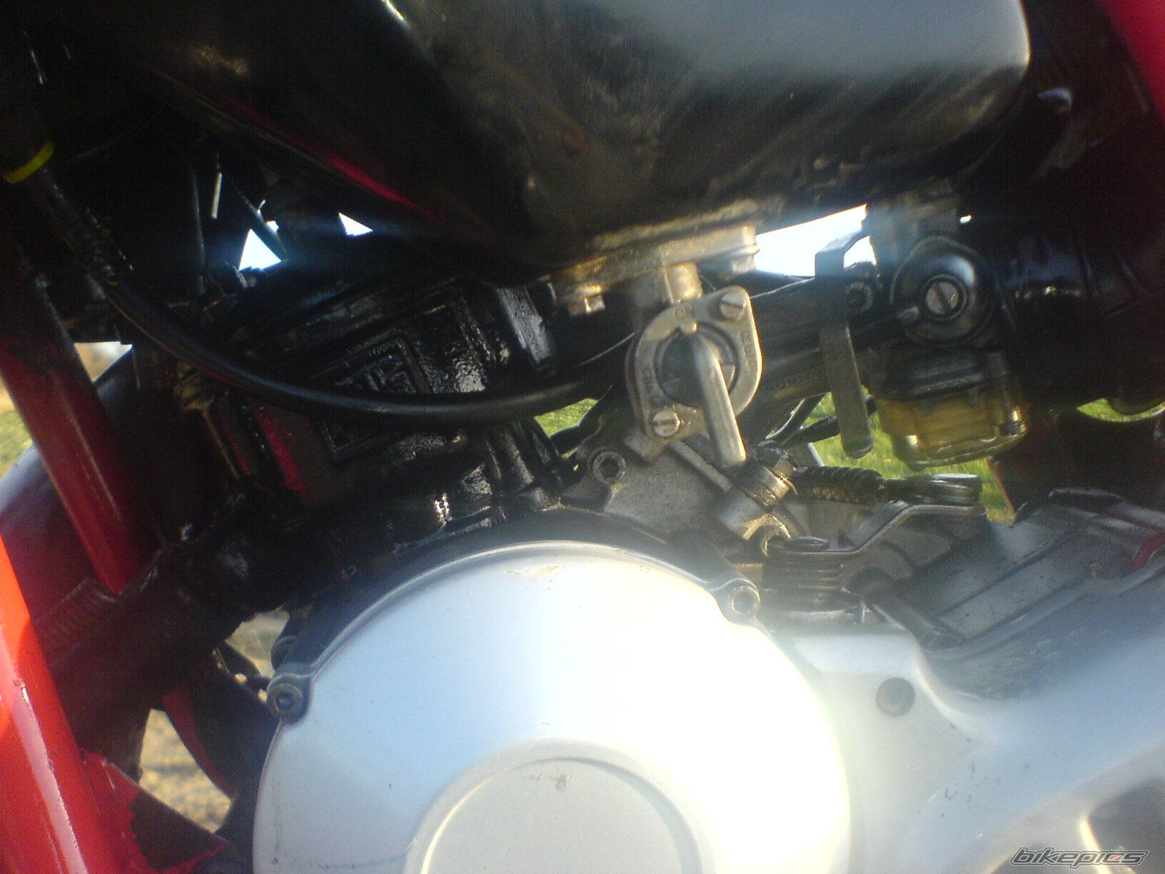 Photo 1162824