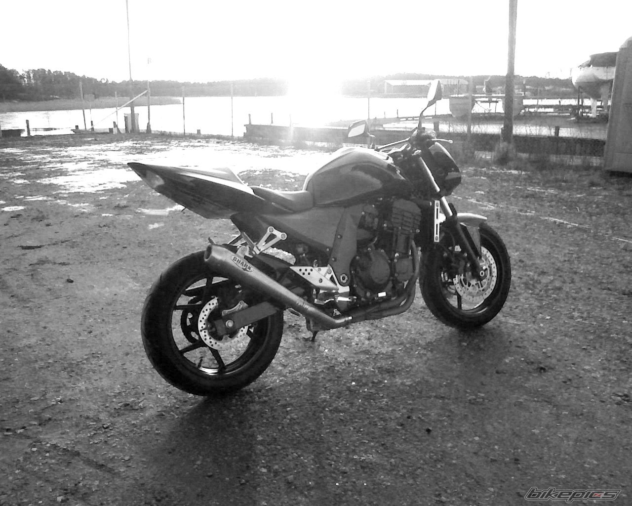 Photo 1162979