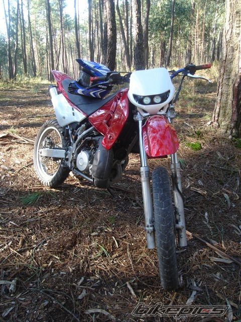 Photo 1162989
