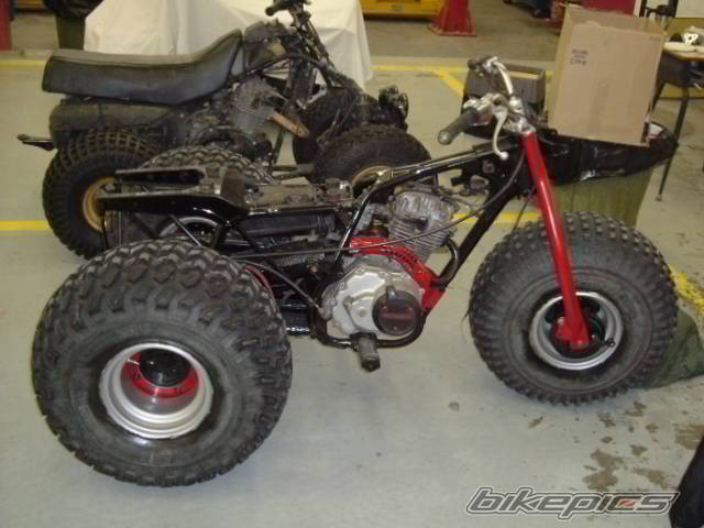 Photo 116334