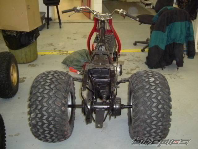 Photo 116335