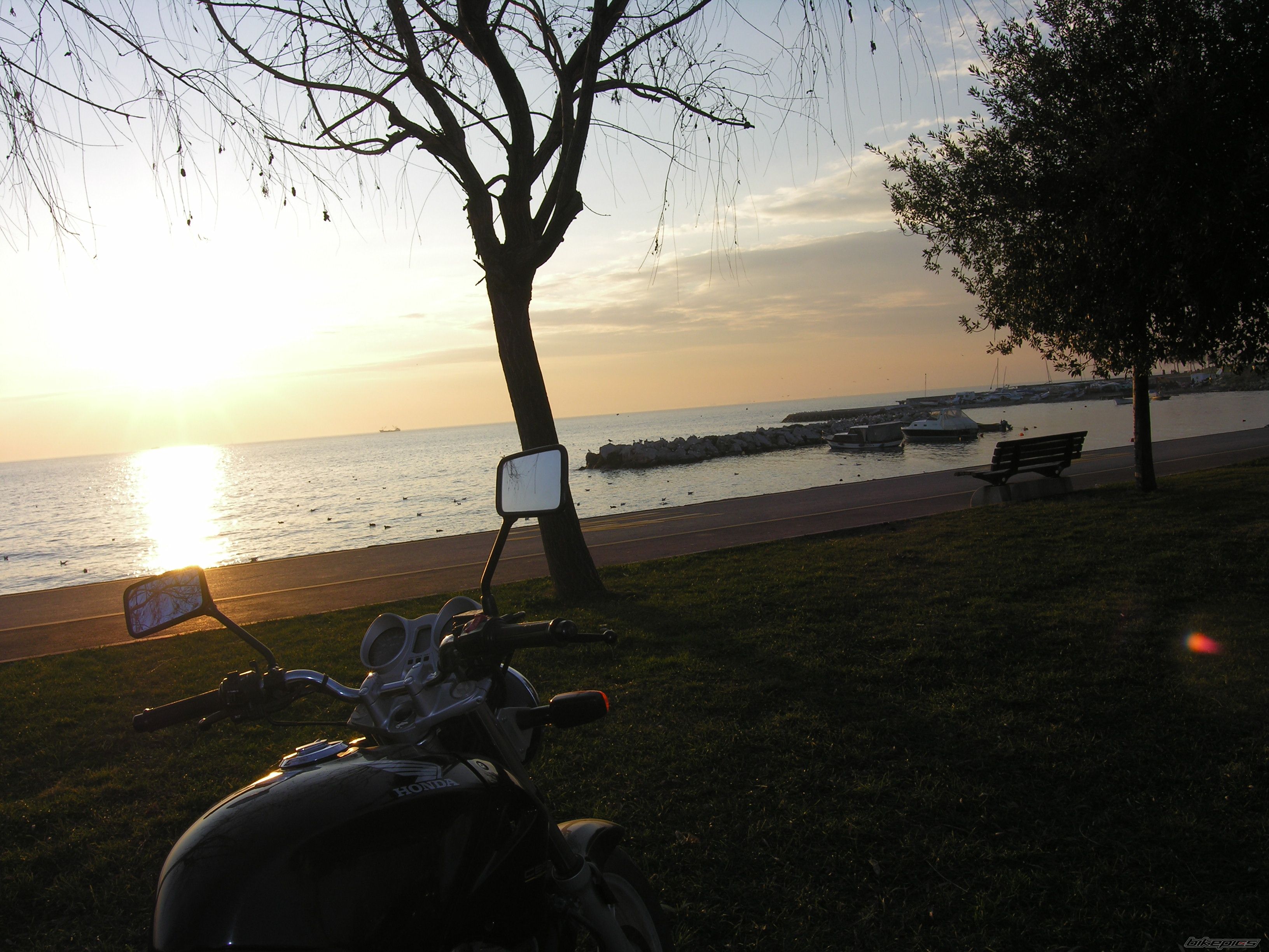 Photo 1163590