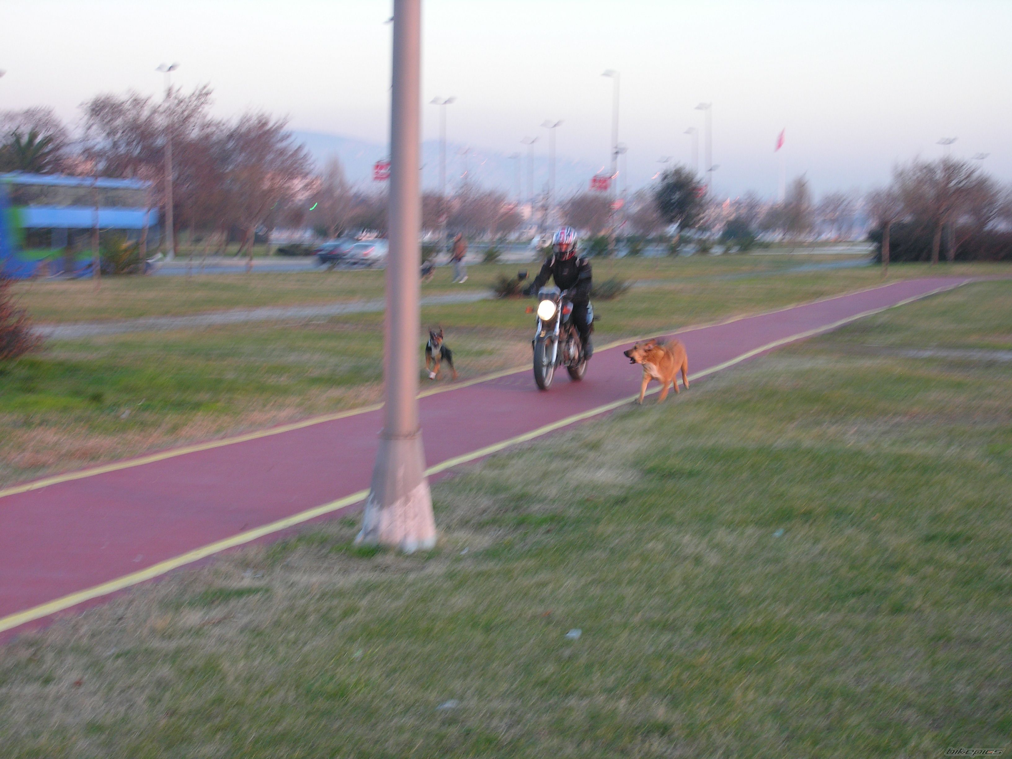 Photo 1163594