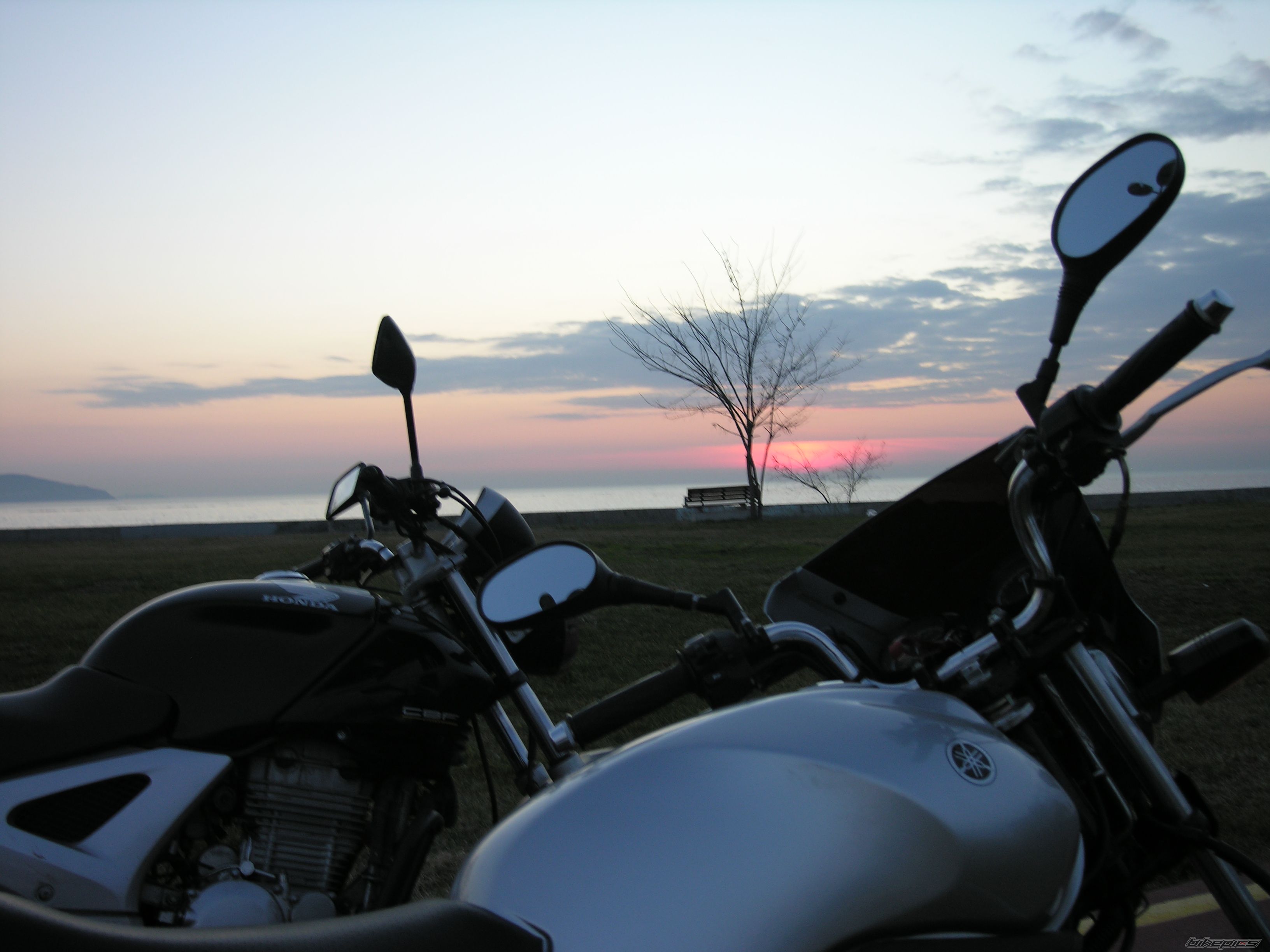 Photo 1163596