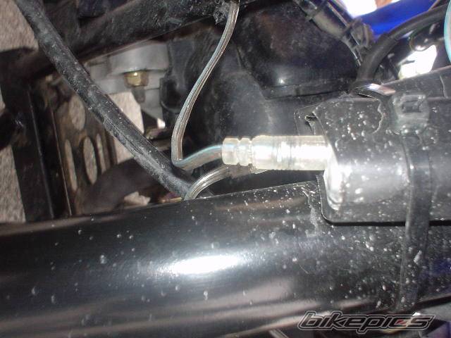 Photo 116372
