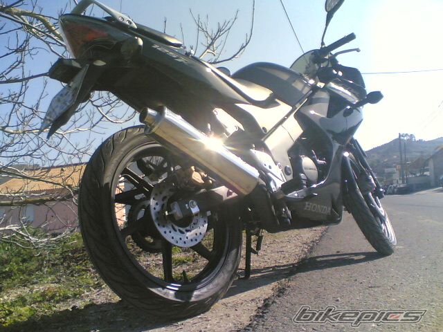 Photo 1163998