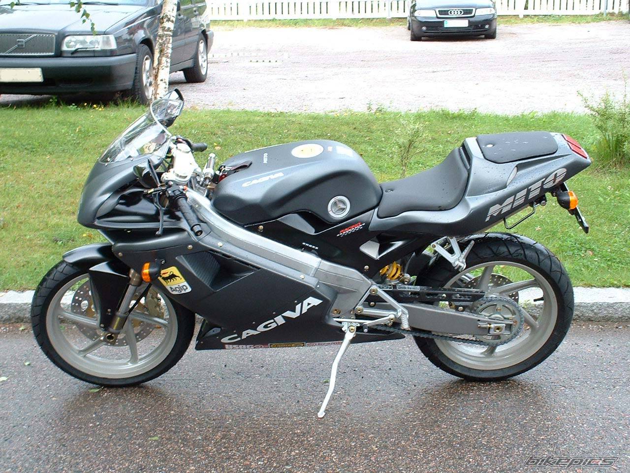 Photo 116404