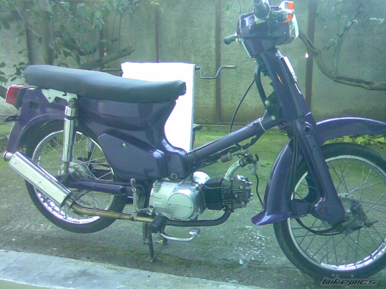 Photo 1164048