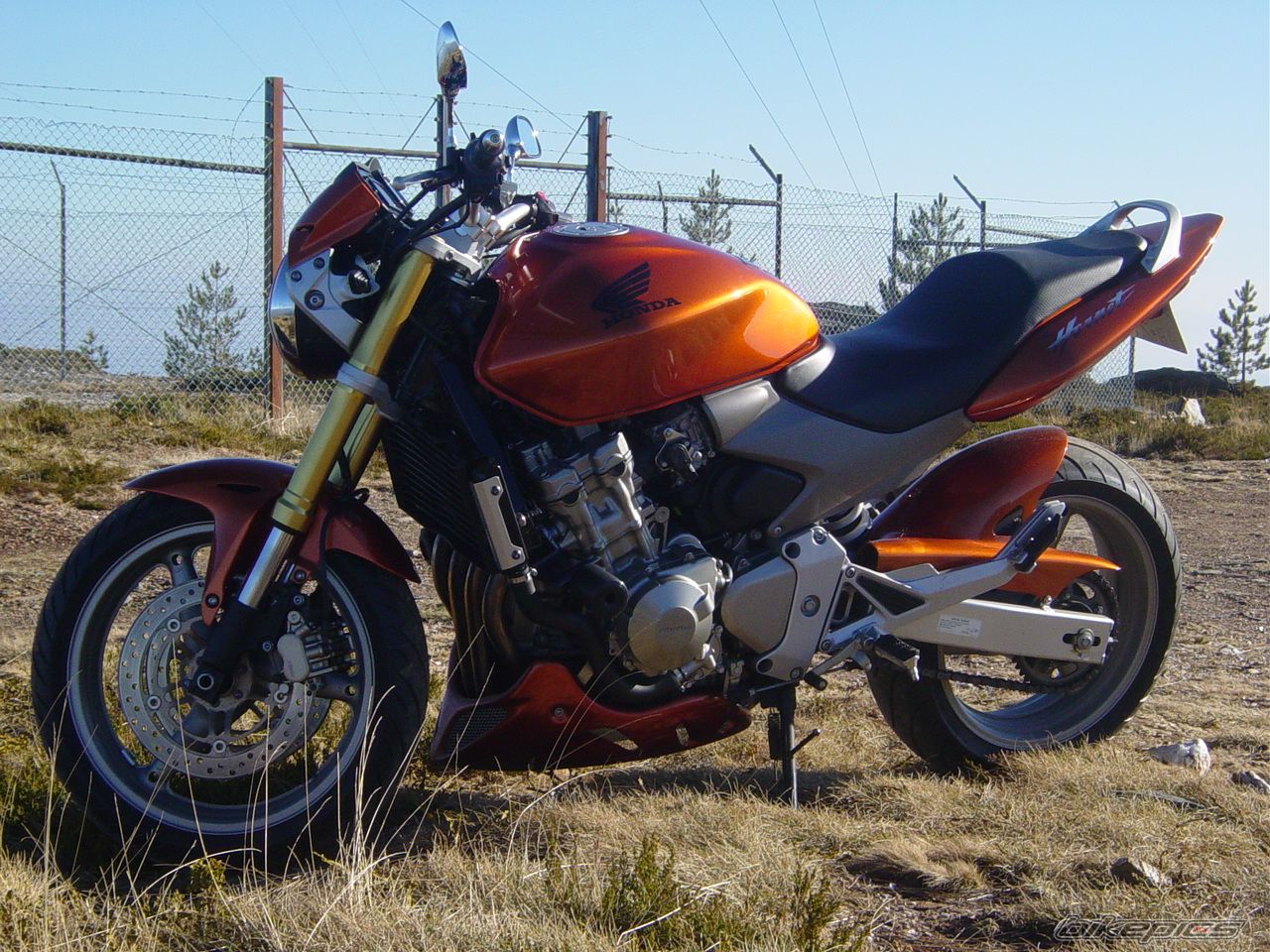 Photo 1164072