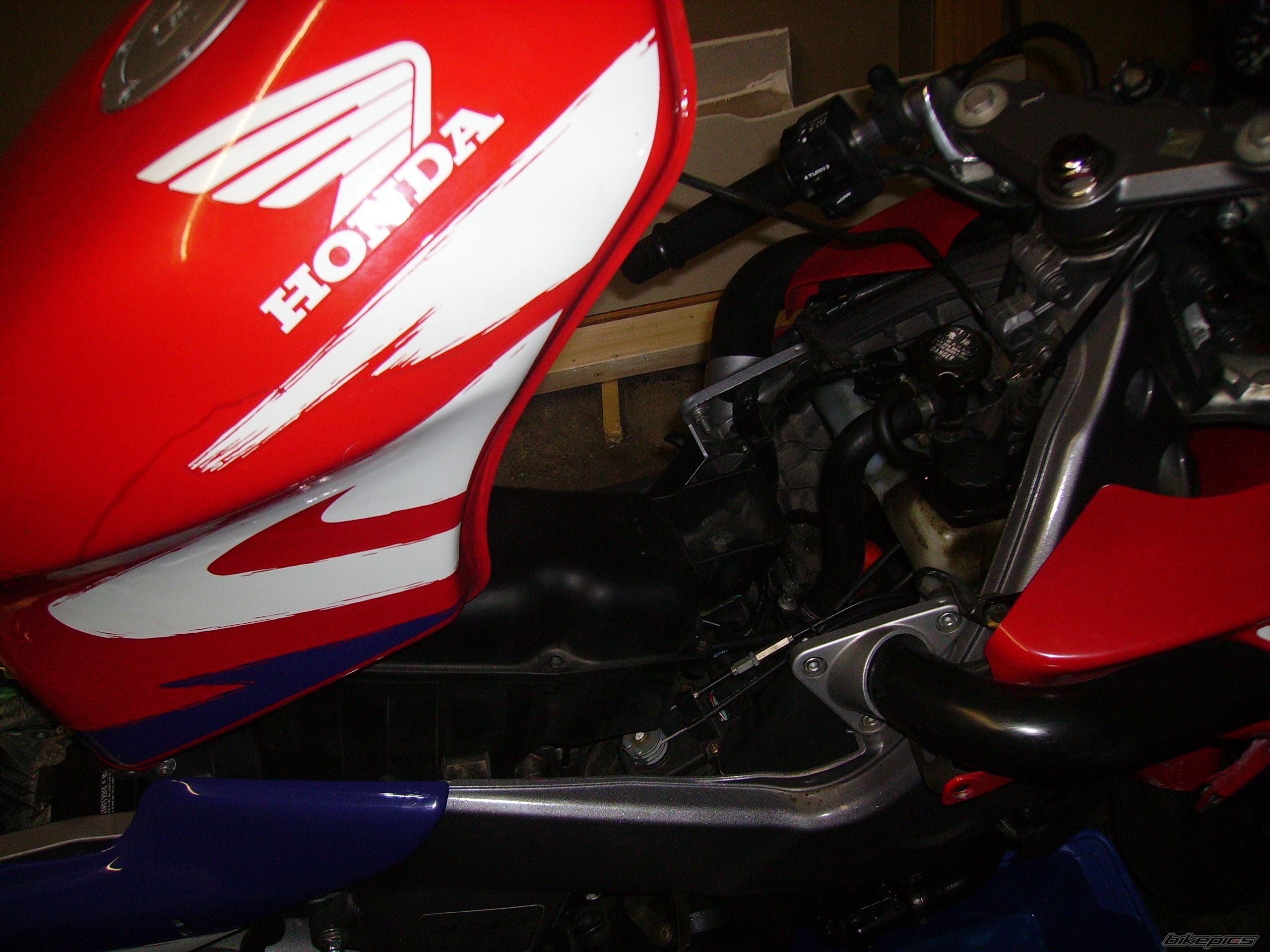 Photo 1164103