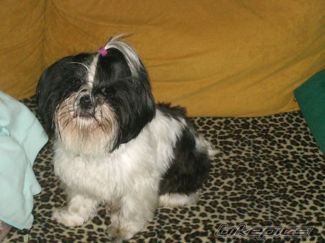 Photo 1164124