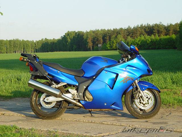 Photo 116413