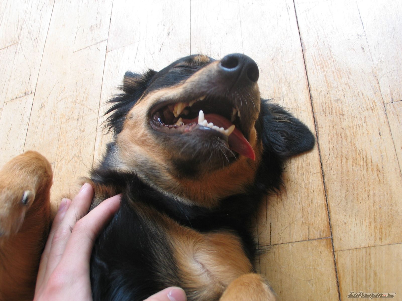 Photo 1164138