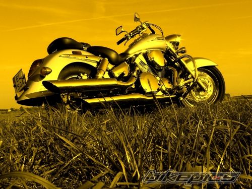 Bike Photo 1164186