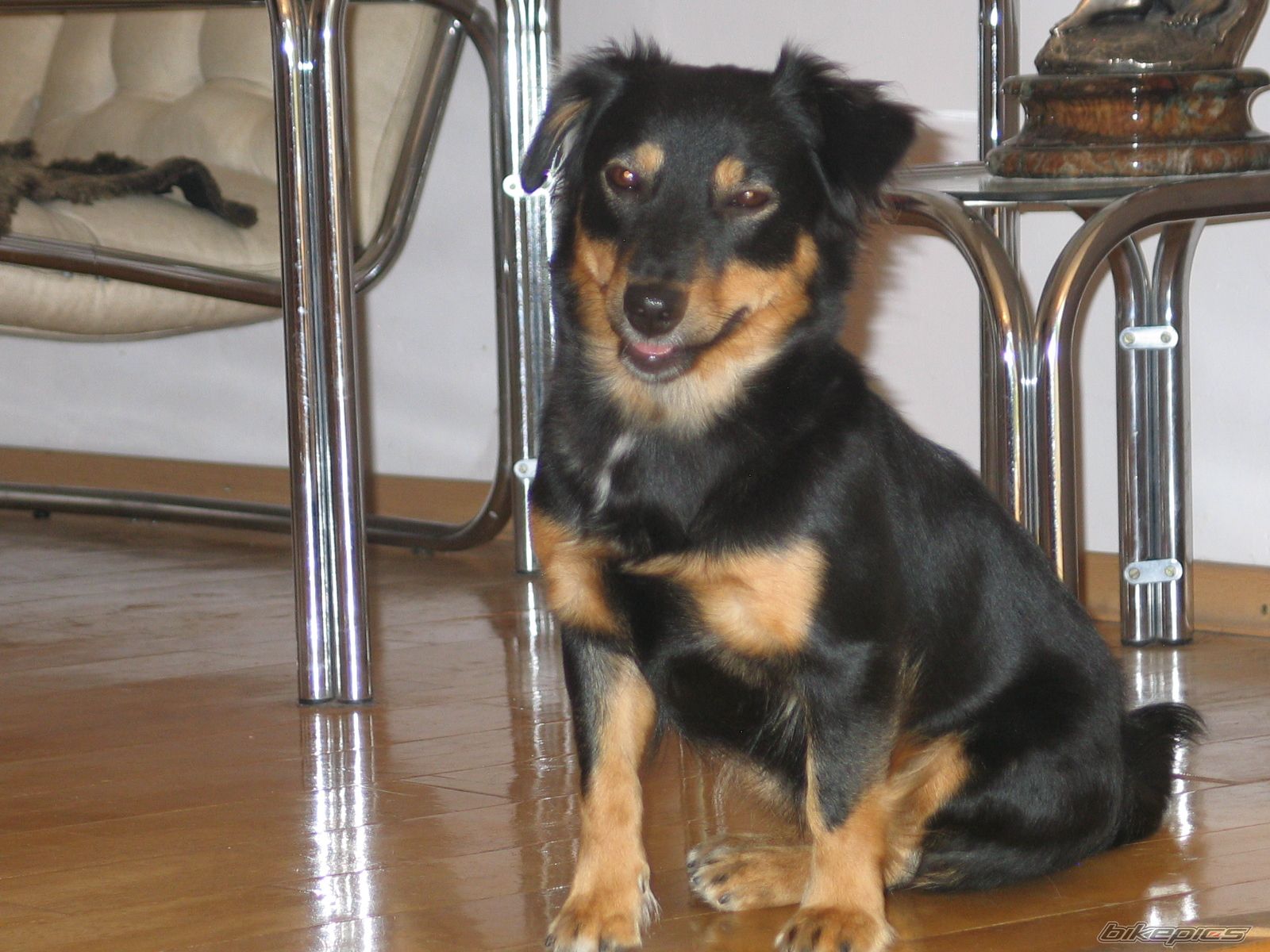 Photo 1164285