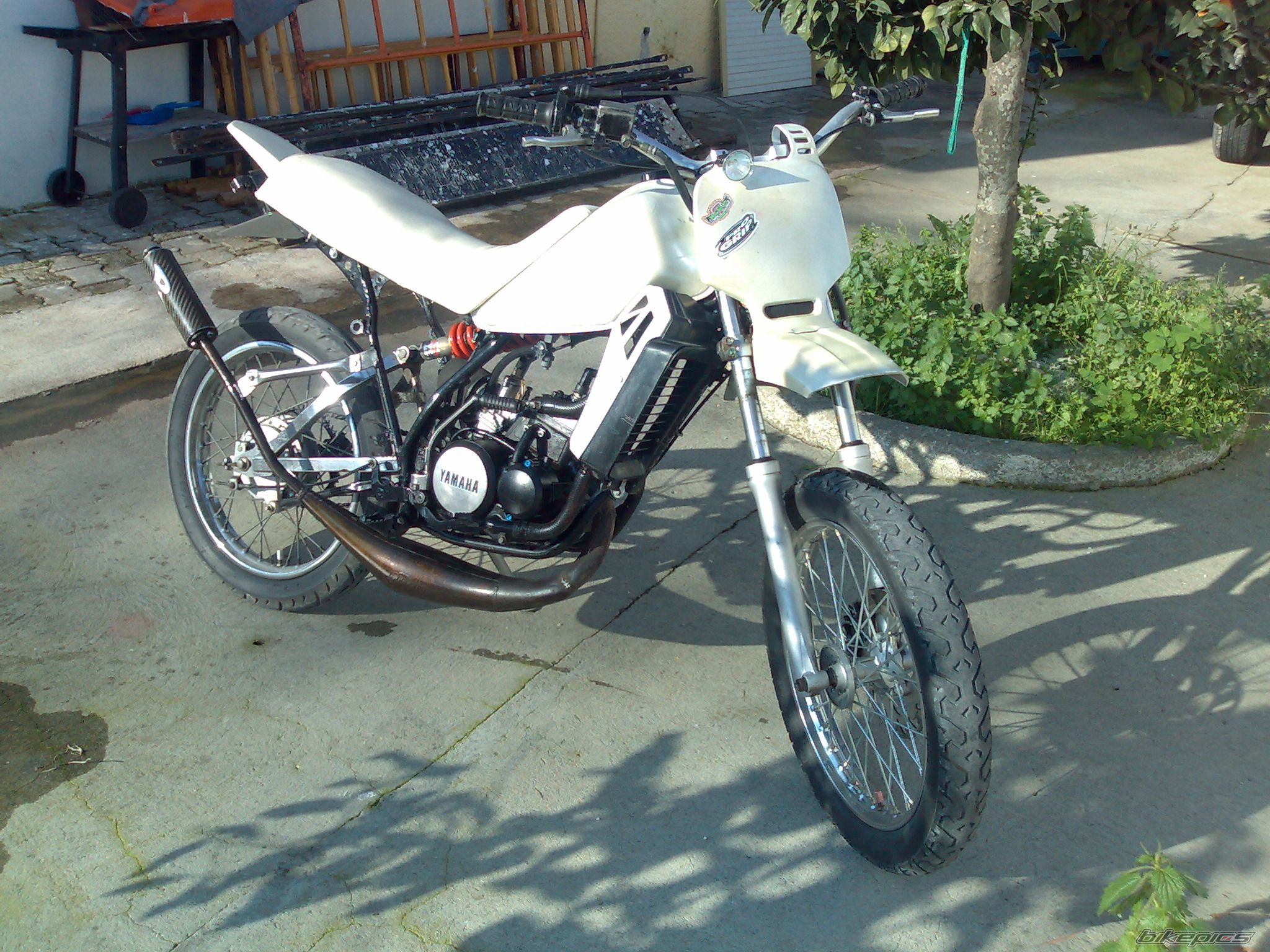 Photo 1164434