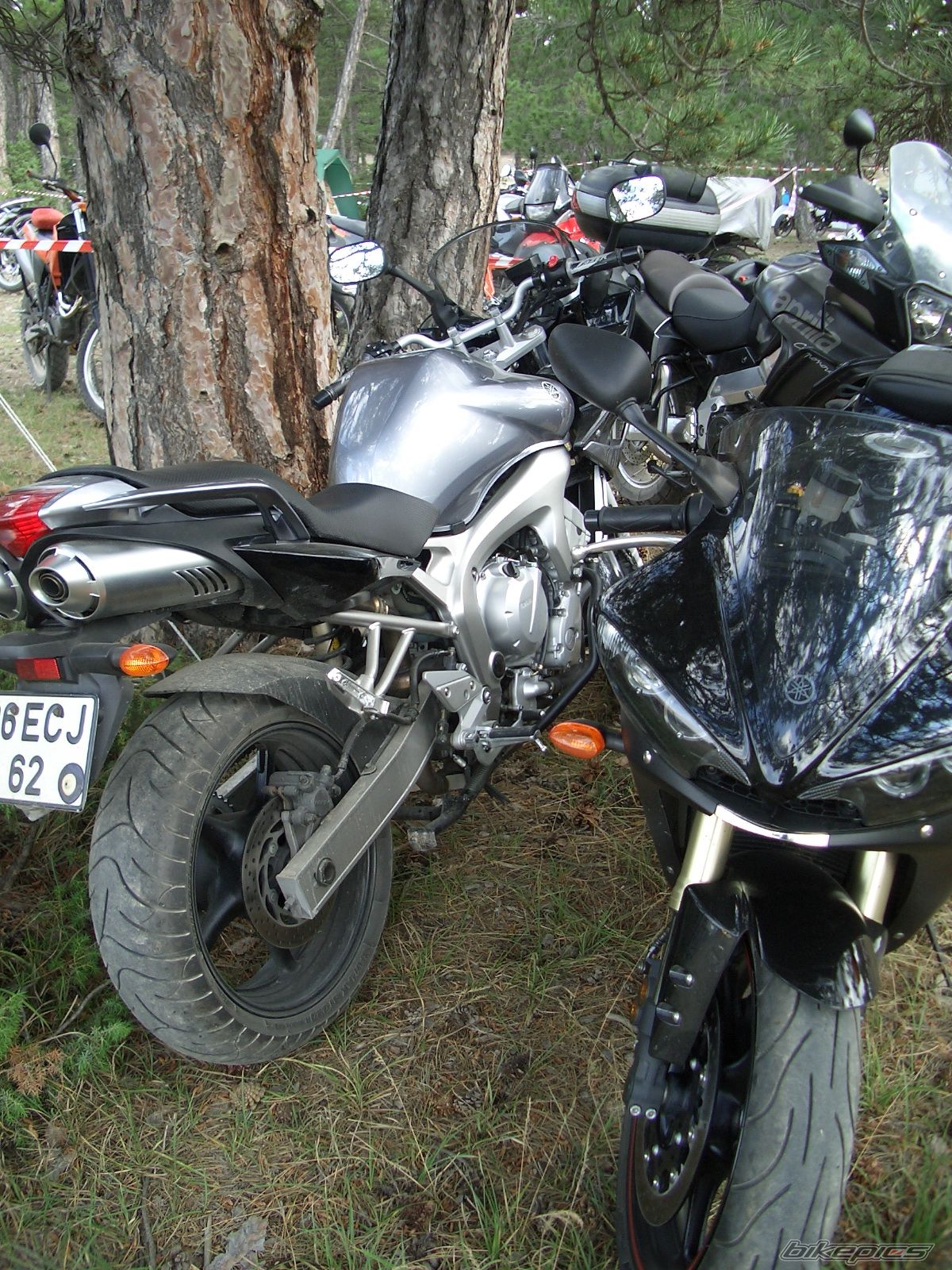 Photo 1164670