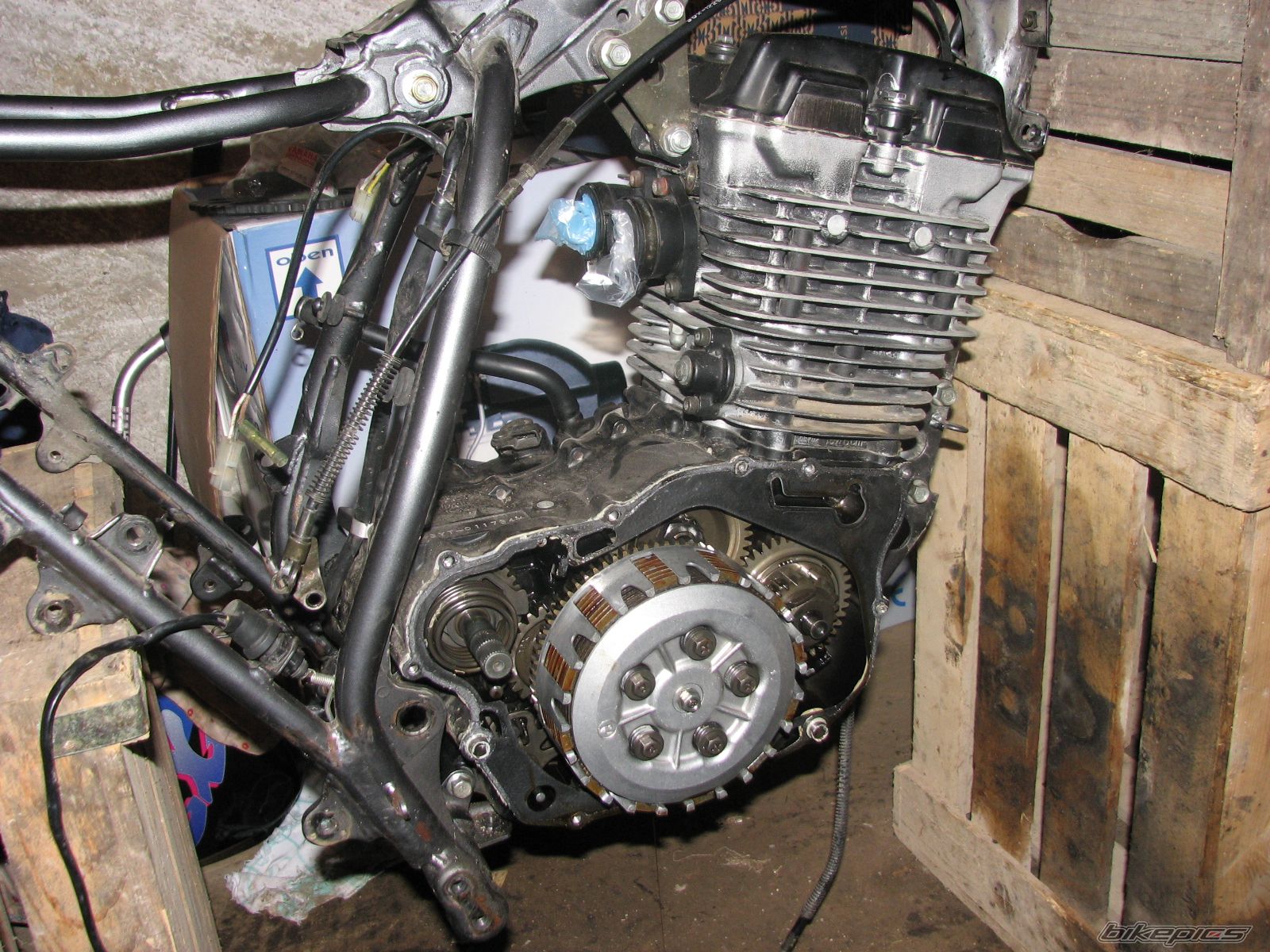 Photo 1164712
