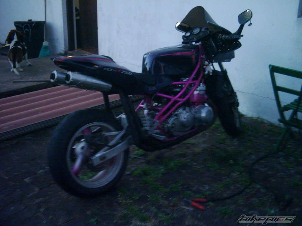 Photo 1164728