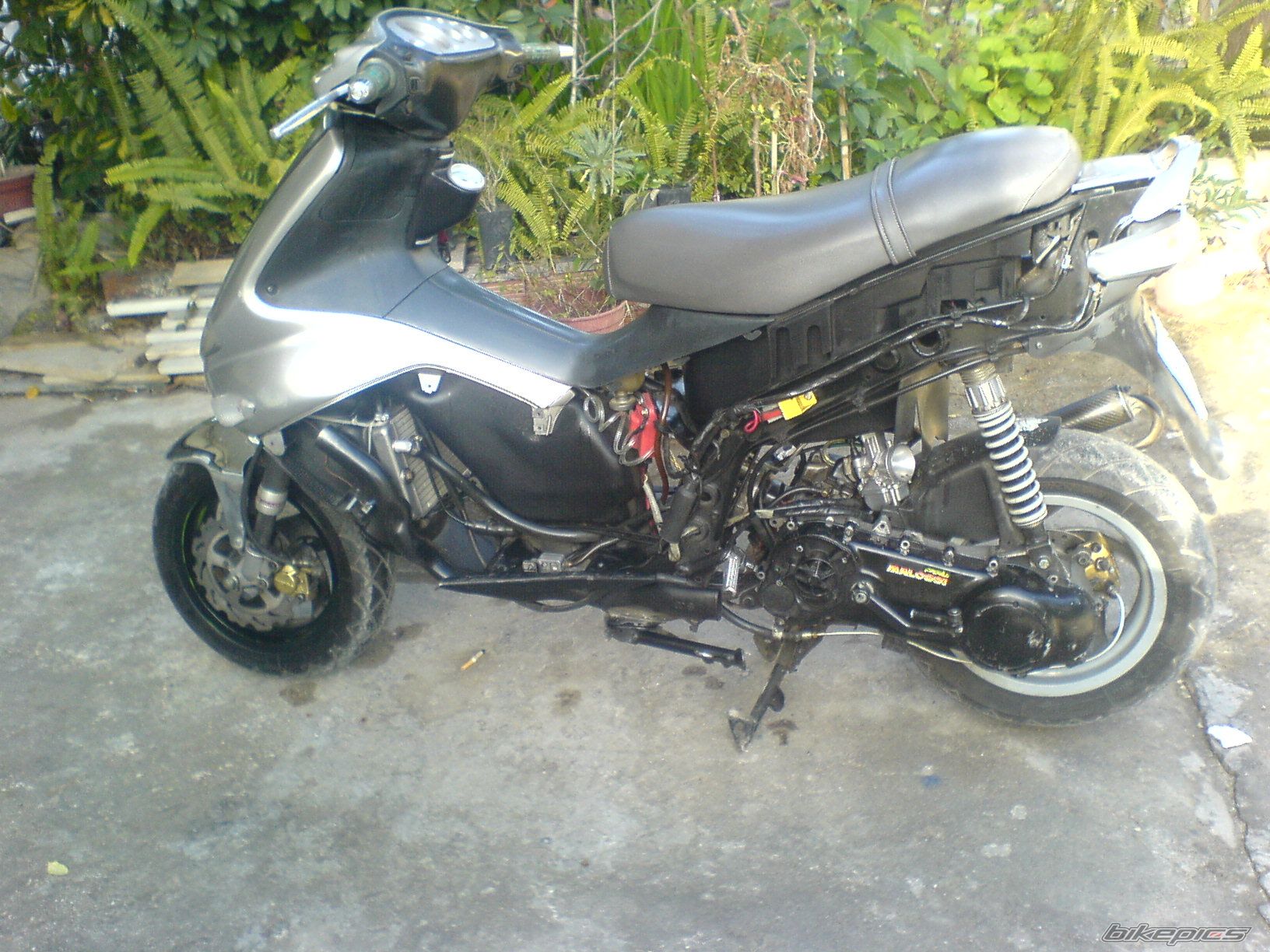 Photo 1164909