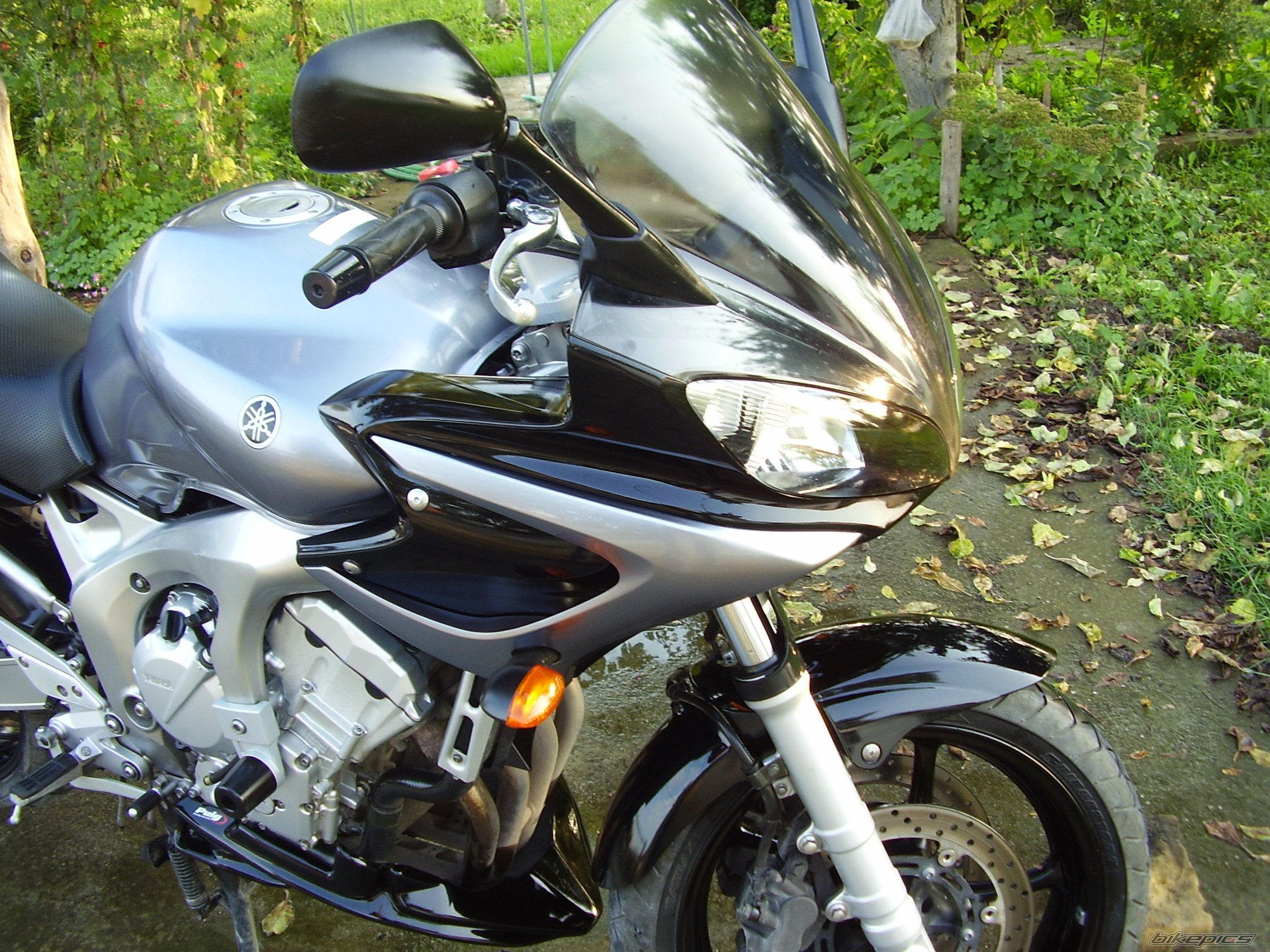 Photo 1164914