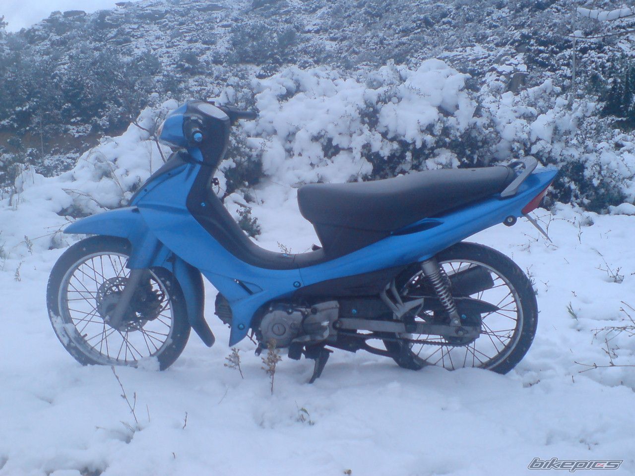 Photo 1164990