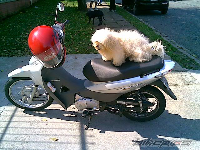 Photo 1165414