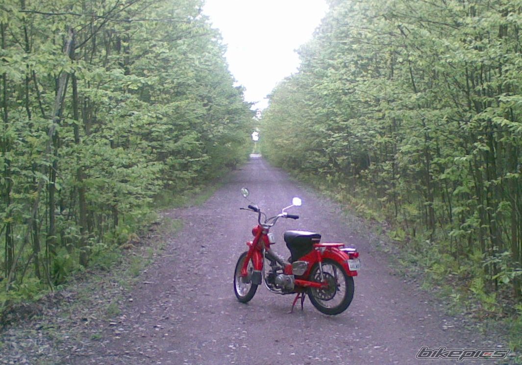 Photo 1165468